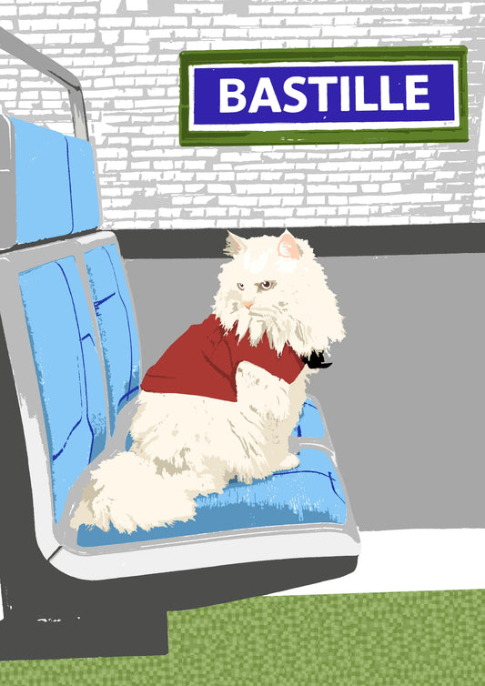 Affiche Métro Paris - Grumpy Parisien Homies Affiche
