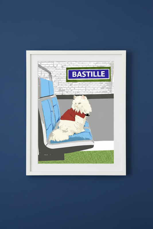 Affiche Métro Paris - Grumpy Parisien Homies Affiche
