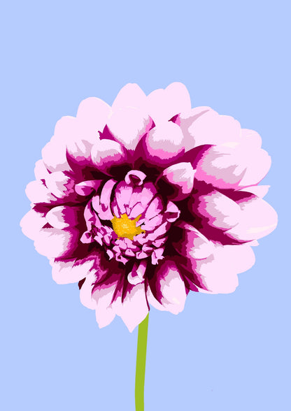 Affiche Fleurs - Dahlia Homies Affiche