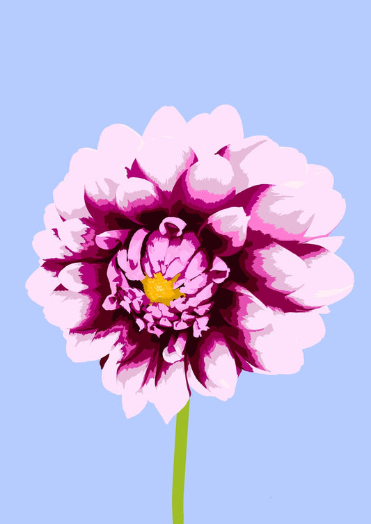 Affiche Fleurs - Dahlia Homies Affiche